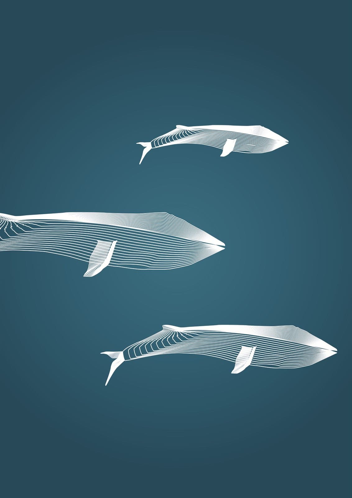 Whales — Illustration portfolio piece by Sandra Madrazo